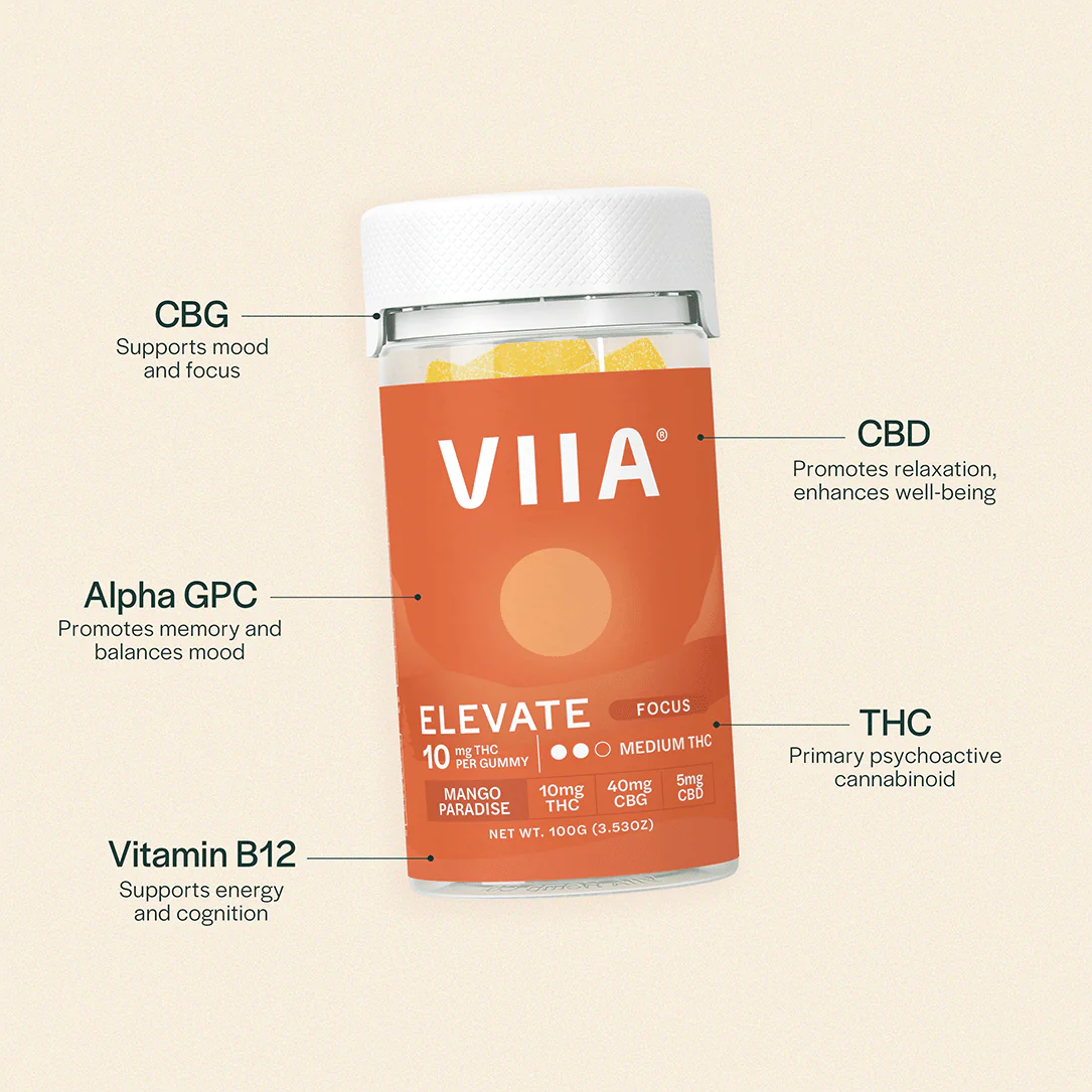 Mango Paradise Elevate Gummies with 10mg THC and nootropics. A bold, energizing option for focus and creative clarity.