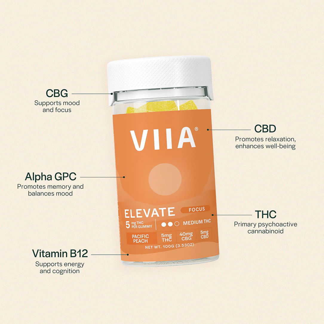 Ingredient breakdown for Elevate Focus Gummies highlighting THC, CBG, CBD, Alpha GPC, and B12 for mood, memory, and energy support.