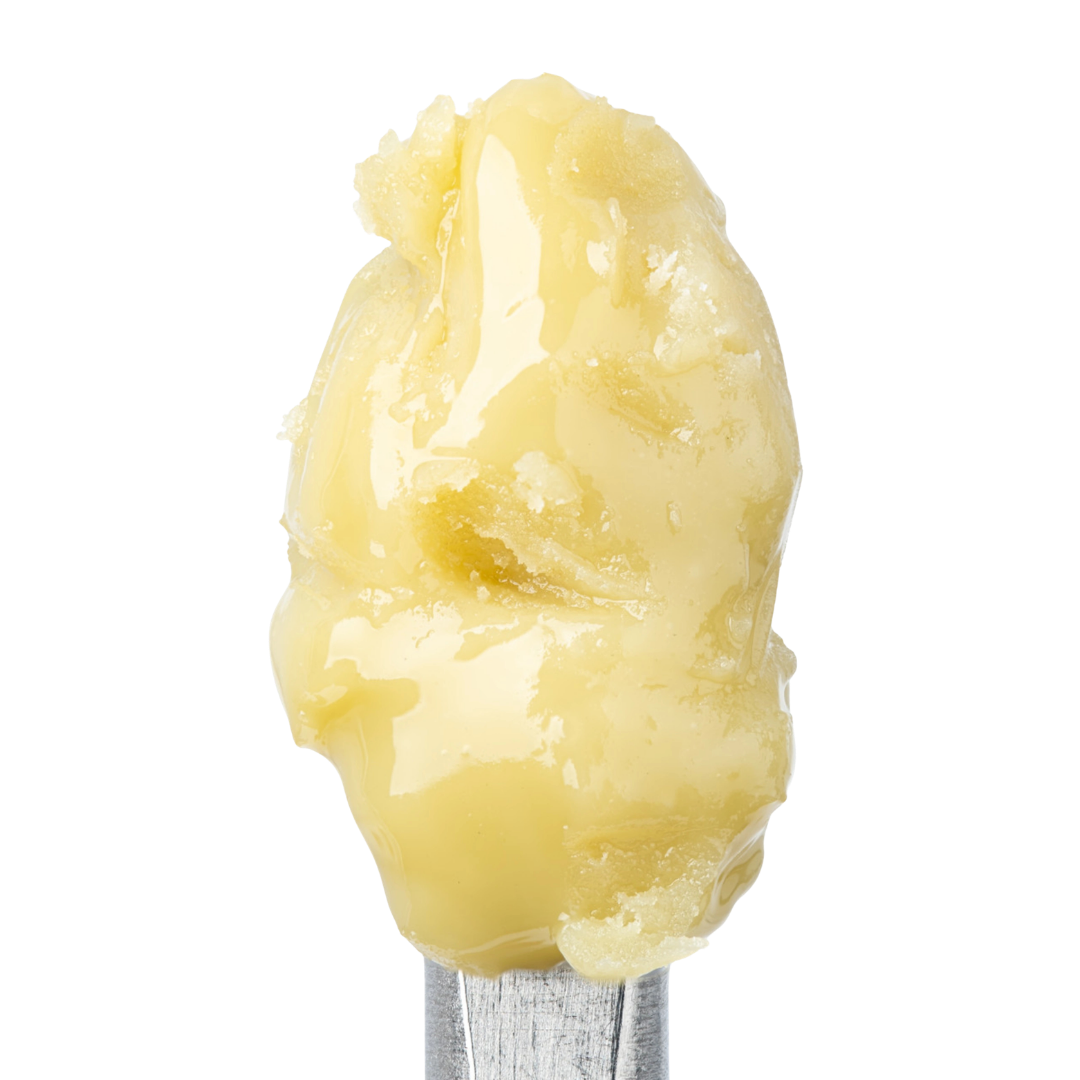 buy papaya cold cure live rosin from consider it flowers for fast shipping