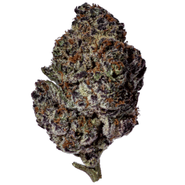 Oreoz Strain