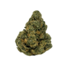 Blue Guava THCA flower: dense, bright green nugs with thick orange hairs and trichomes. Sugary fruit and flowery kush aroma.