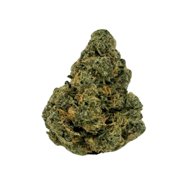 Blue Guava THCA flower: dense, bright green nugs with thick orange hairs and trichomes. Sugary fruit and flowery kush aroma.