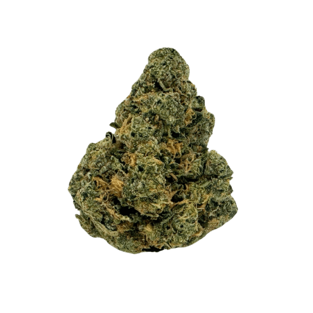 Blue Guava THCA flower: dense, bright green nugs with thick orange hairs and trichomes. Sugary fruit and flowery kush aroma.