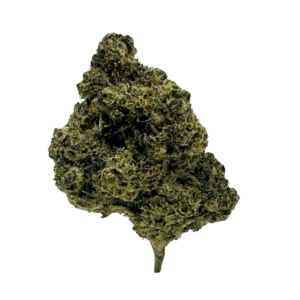 Wedding Gelato THCA flower: dense nugs, vibrant lime to dark green, thick crystal coating. Visually appealing and delicious.