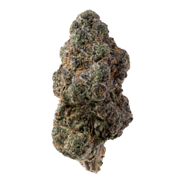 Apple Fritter THCA Flower: sweet apple aroma with earthy, woody notes. Bright green buds, orange hairs, and a frosty layer of crystals.