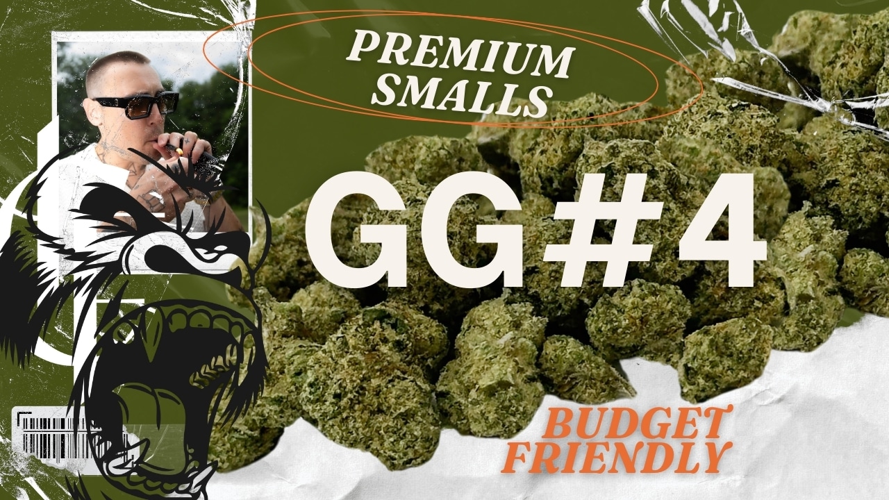 GG4 THCA flower premium smalls. Budget-friendly indica with earthy, pungent aroma. Perfect for relaxation and stress relief.