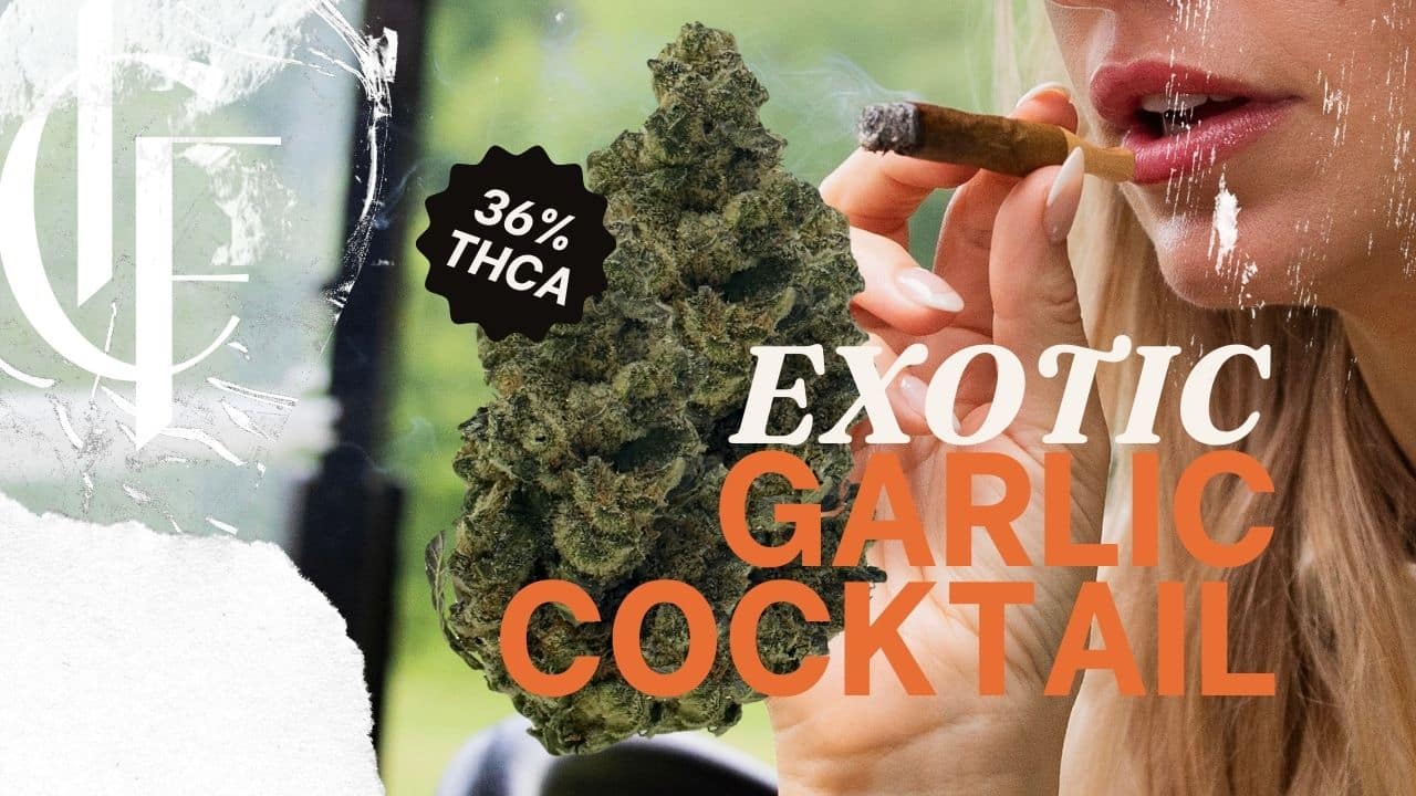 Exotic Garlic Cocktail by Consider It Flowers. 36% THCA flower with a bold, savory profile. Shop premium THCA strains online today.