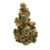 Garlic Cocktail THCA flower: garden-fresh aroma, tangy tangerine taste. Pine tree-shaped nugs with orange hairs, coated in shiny crystals