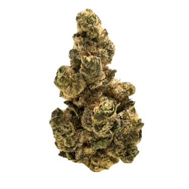 Garlic Cocktail THCA flower: garden-fresh aroma, tangy tangerine taste. Pine tree-shaped nugs with orange hairs, coated in shiny crystals