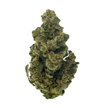 Garlic Cocktail THCA flower: garden-fresh aroma, tangy tangerine taste. Pine tree-shaped nugs with orange hairs, coated in shiny crystals