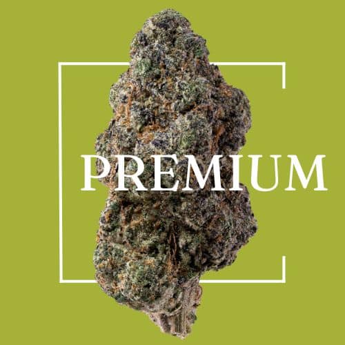 Premium THCA Flower by Consider It Flowers, top-quality cannabis at an unbeatable price, verified by third-party labs.