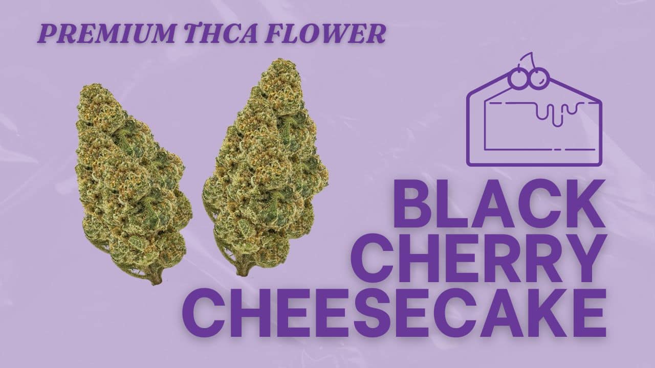 Premium THCA Black Cherry Cheesecake strain by Consider It Flowers. Order now for an ultra-premium experience!