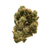 Fire OG: neon green, airy nugs with fiery orange hairs, rich purple undertones, and a frosty white layer of trichomes. A fiery-looking strain.