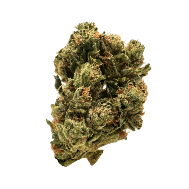 Fire OG: neon green, airy nugs with fiery orange hairs, rich purple undertones, and a frosty white layer of trichomes. A fiery-looking strain.