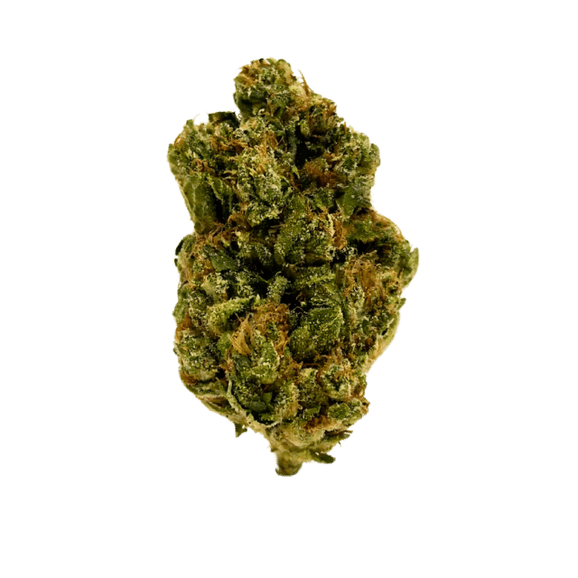 Fire OG: neon green, airy nugs with fiery orange hairs, rich purple undertones, and a frosty white layer of trichomes. A fiery-looking strain.