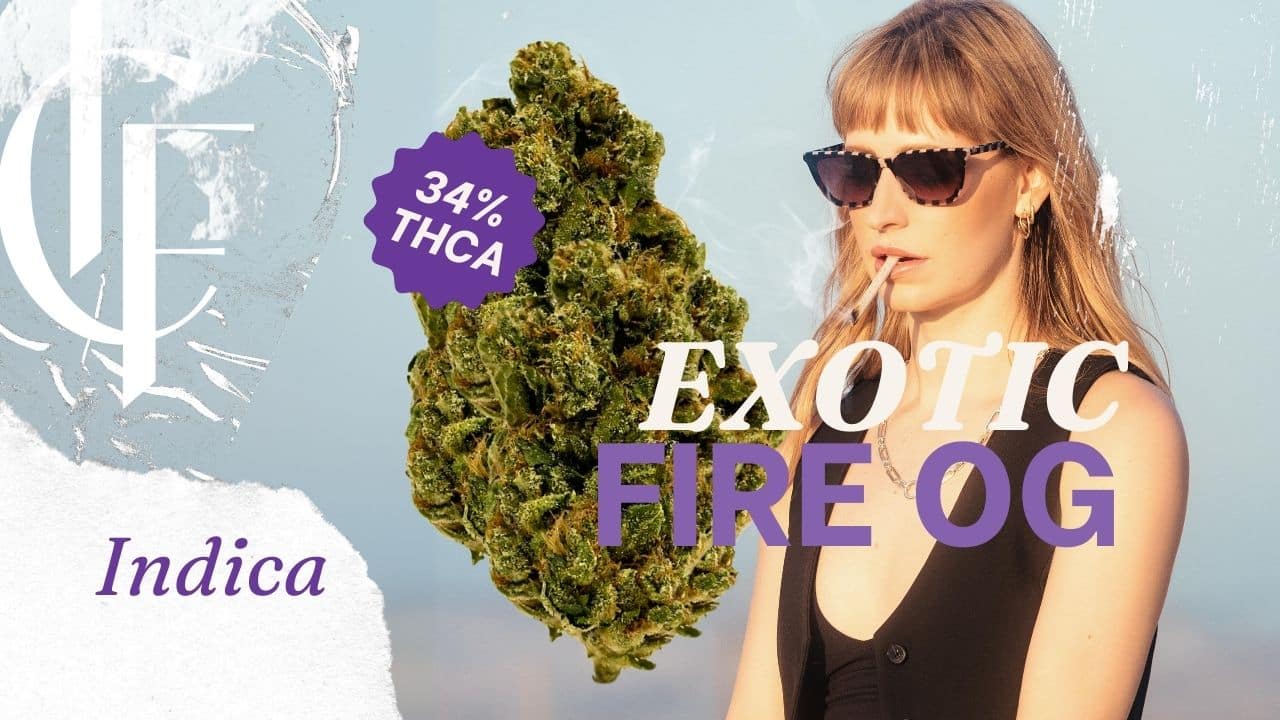 Fire OG: a potent indica strain, delivering euphoria and creativity before intense relaxation, couch-lock, and full-body sedation.