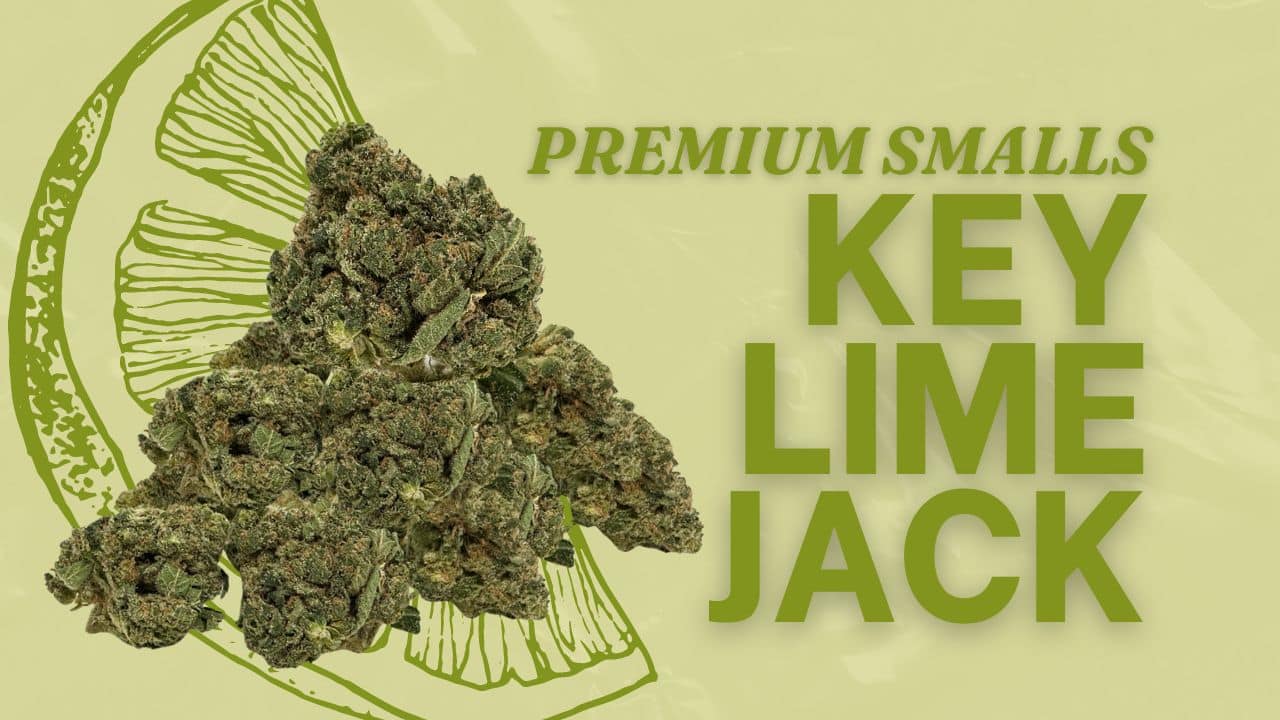 Premium Key Lime Jack Smalls by Consider It Flowers. Experience the fresh, citrusy notes—order now!