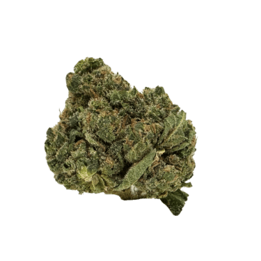 Key Lime Jack strain: light, sativa-leaning with chunky, vibrant nugs. Uplifts the mind, calms the body. Sweet aroma with a hint of lime.