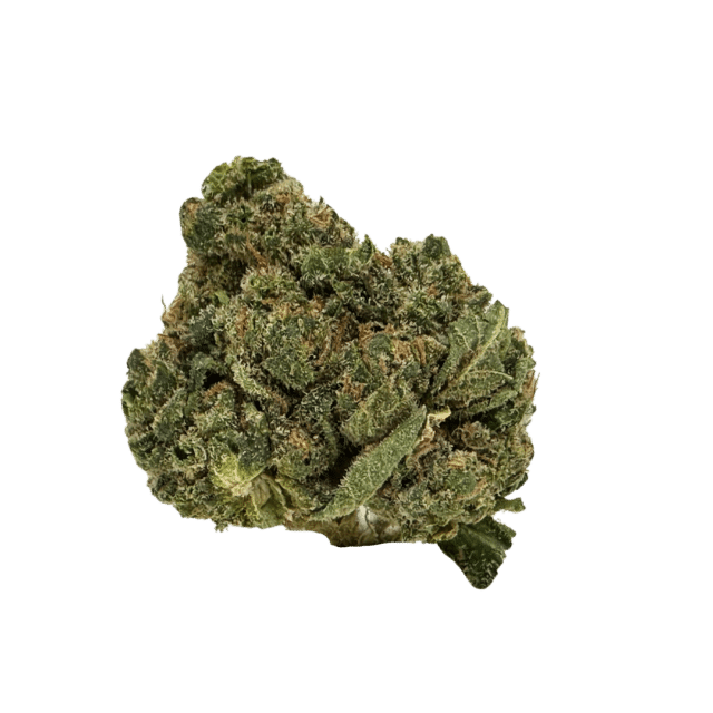 Key Lime Jack strain: light, sativa-leaning with chunky, vibrant nugs. Uplifts the mind, calms the body. Sweet aroma with a hint of lime.