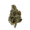 Super Silver Haze strain: fluffy, bright green nugs with orange hairs and silvery trichomes. Bold skunk, citrus, herb, and cheese aromas. A strong sativa.