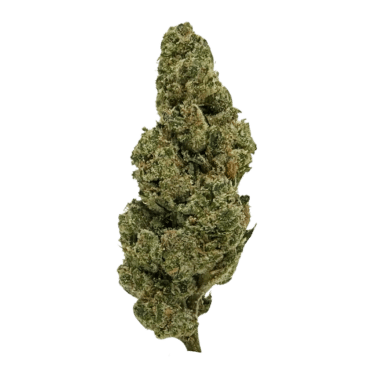 Donny Burger THCA flower: potent indica with strong body buzz and stoney head. Sticky buds with earthy citrus aroma, perfect for unwinding.