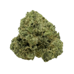 Gelato strain: dense green buds with bright orange hairs. Smells like gasoline on vanilla ice cream. A pungent strain that hits just right.