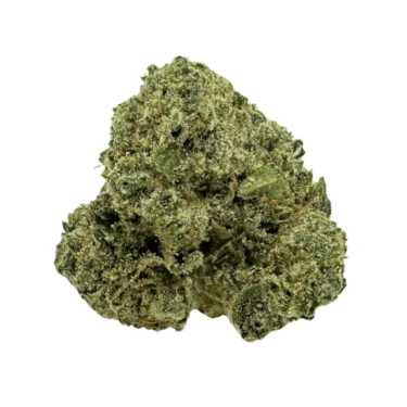 Gelato strain: dense green buds with bright orange hairs. Smells like gasoline on vanilla ice cream. A pungent strain that hits just right.