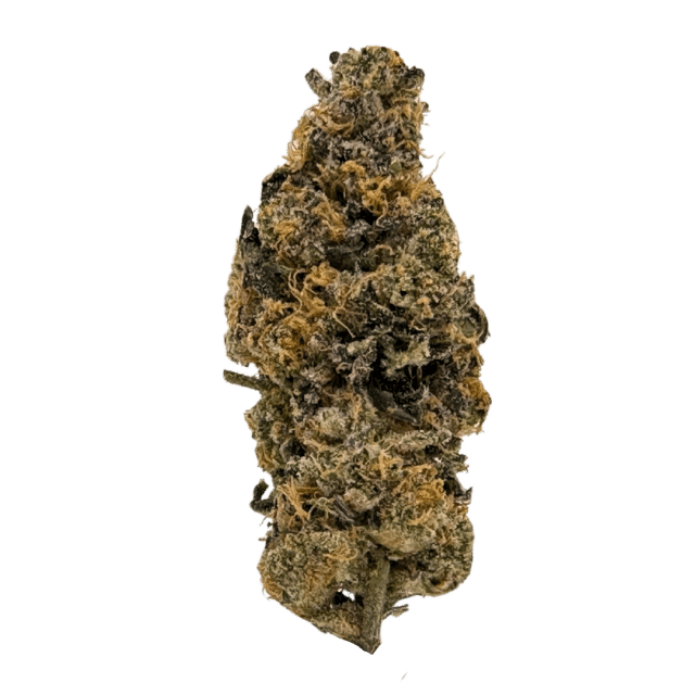 LCG strain: oversized, oblong buds in green and purple with red hairs. Citrus-forward aroma, skunky with spicy cherry flavor. Fluffy and sticky.