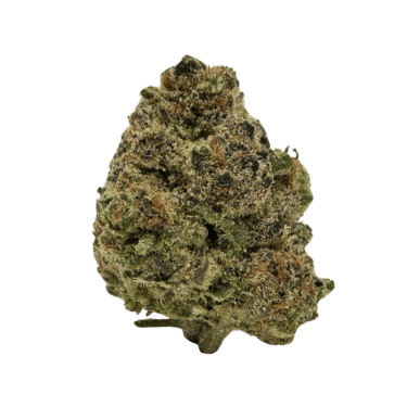 Pirate’s Milk strain is a sweet hybrid with uplifting effects, a calming buzz, and a berries-and-cream aroma. Perfect for relaxation!