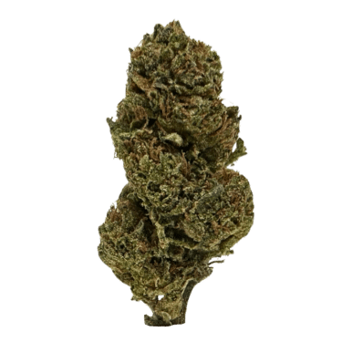 Sherbet strain by Craft Cannabis is a creamy, tangy indica-leaning hybrid with carefree euphoria and calming effects to relax body and mind.