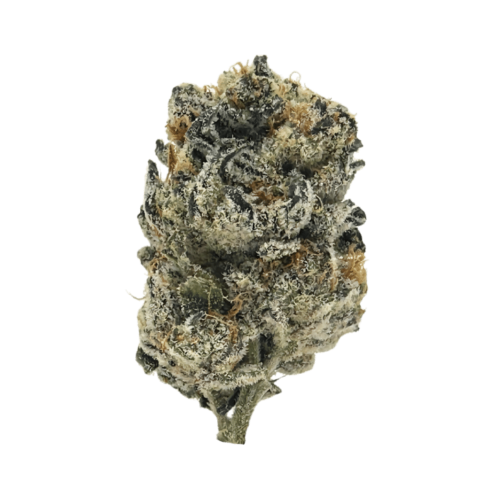 Breakfast of Champions is a balanced hybrid with fruity, minty aromas and effects that uplift your mind and relax your body. Perfect for wake-and-bake!