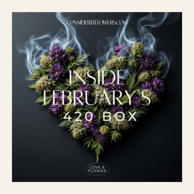 February’s 420 Box is packed with exotic, small-batch flower to spark creativity, relaxation, and good vibes all month long.