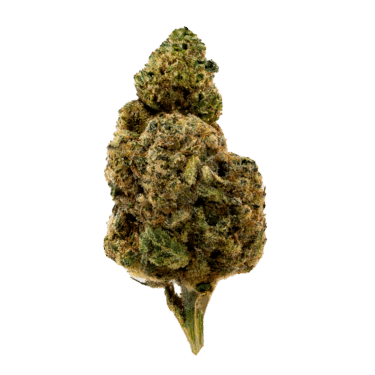 Premium Green Apple Gas THCA flower showing dense lime-green buds with crystalline trichomes